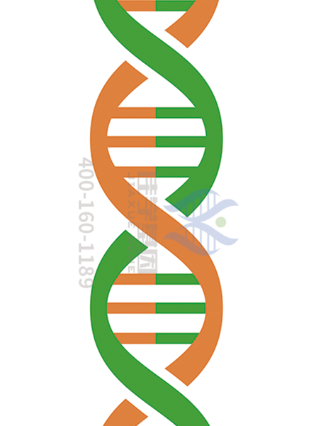 【佳学基因-基因检测】带你了解先天性再生障碍性贫血