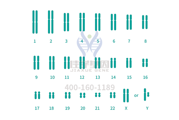 【佳学基因解码-基因检测】一种严重的肌营养不良类型:杜氏肌营养不良 【佳学基因解码-基因检测】一种严重的肌营养不良类型:杜氏肌营养不良