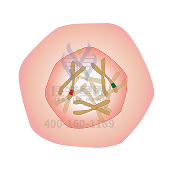 【佳学基因检测】Ⅱ型糖尿病基因解码、基因检测