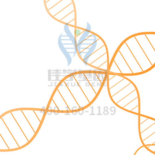 【佳学基因检测