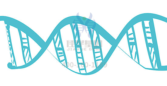 【佳学基因检测
