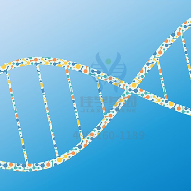 【佳学基因检测】雪莉、具荷拉之死引人深思：是自杀还是阴谋论？