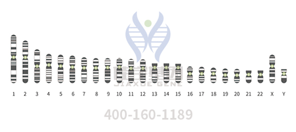 【佳学基因检测