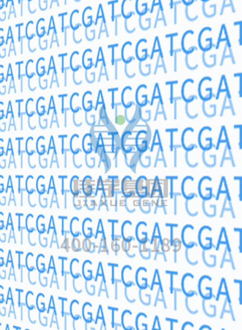 【佳学基因检测