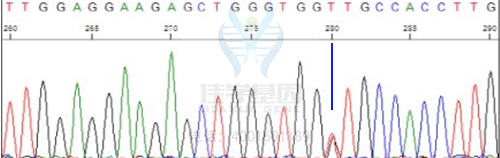 【基因解码基因检测案例】结节性硬化症-佳学基因