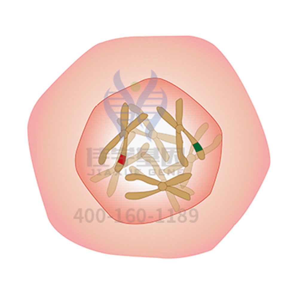 【佳学基因检测】F7R的群体遗传学结果对分子病理检测准确性的影响