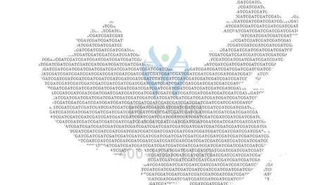 【佳学基因检测】分子病理检测套餐是否应当有LGTN基因？