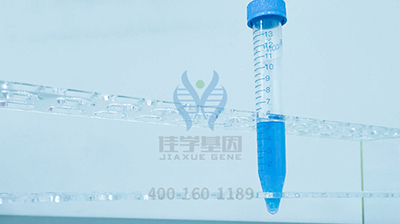 【佳学基因检测】突变检测前为什么要问突变检测机构是否包含SERPINB1基因？