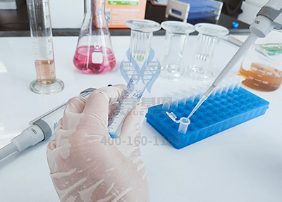 【佳学基因检测】医学院硕士研究考试关于ERV3-1突变检测的知识要点