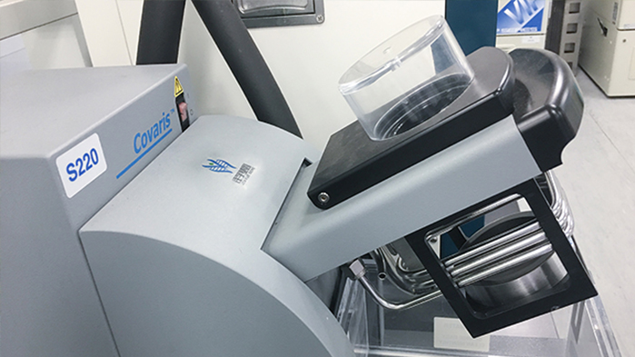 【佳学基因-基因检测】SCIENCE- 最新发现-基因影响人类肤色的演变 【佳学基因-基因检测】SCIENCE- 最新发现-基因影响人类肤色的演变