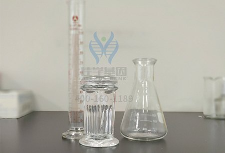 【佳学基因-基因检测】劈腿或是天生的,都是基因的“锅” 【佳学基因-基因检测】劈腿或是天生的,都是基因的“锅”