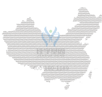 【佳学基因解码-基因检测】你有哪些习惯是由基因决定的？
