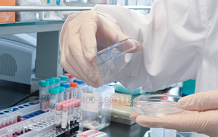 【佳学基因-基因检测】神奇的基因之发现让男人出柜的基因