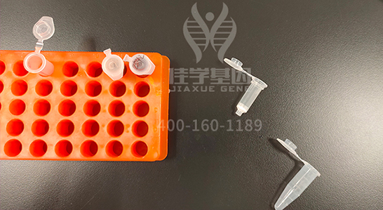 【佳学基因检测