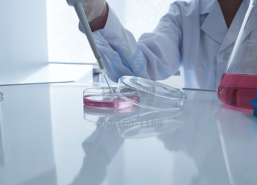 【佳学基因解码-基因检测】为什么你这么讨厌香菜？