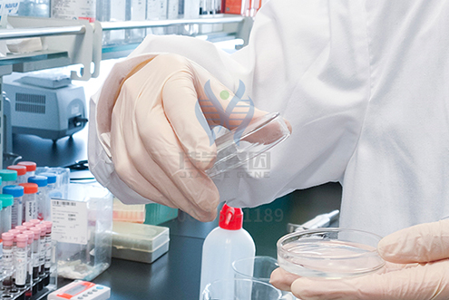 【佳学基因检测】河南省新乡市基因检测报告质量抽查中心