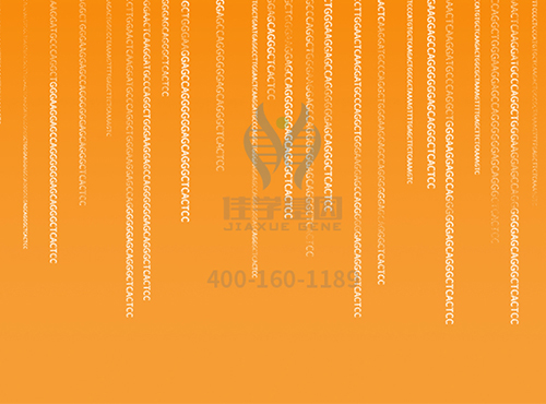 【佳学基因检测