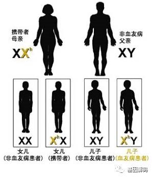 【佳学基因-基因检测】“玻璃人”血友病传男不传女是真的吗? 【佳学基因-基因检测】“玻璃人”血友病传男不传女是真的吗?