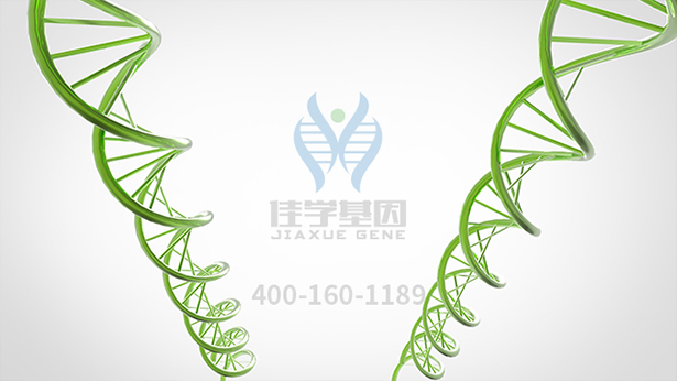 【佳学基因-基因检测】这个家庭15口人均是六指!基因解码找原因 【佳学基因-基因检测】这个家庭15口人均是六指!基因解码找原因