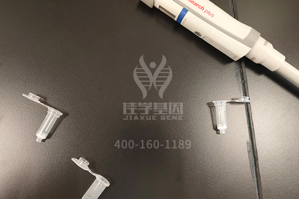 【佳学基因-基因检测】线粒体替代疗法(MRT)被用以预防线粒体遗传病 【佳学基因-基因检测】线粒体替代疗法(MRT)被用以预防线粒体遗传病